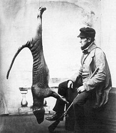 photo d'un homme, braconier 